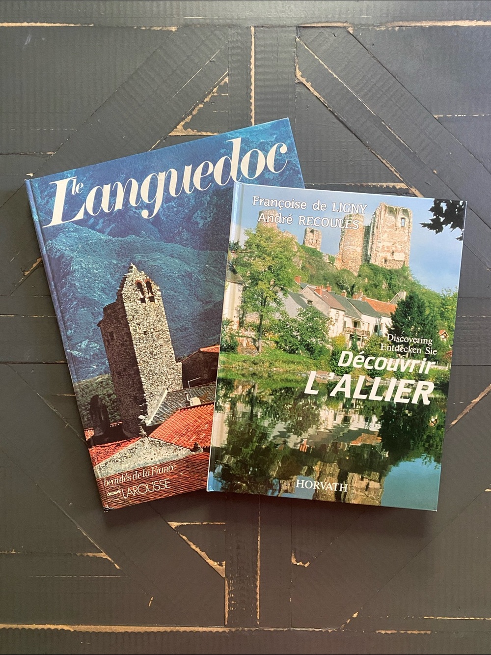 🇫🇷Vintage🇫🇷French Books Set of 2